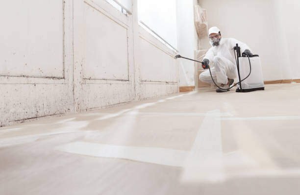 24/7 Emergency Mold Testing experts in Winchester, KY